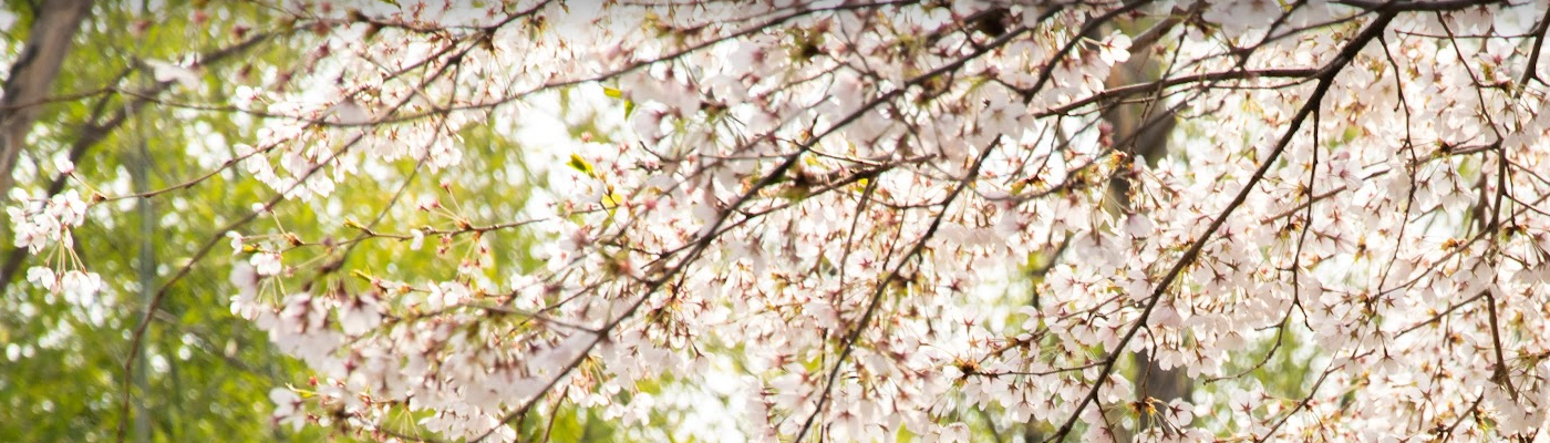 슬라이드1 내용